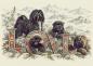 Preview: LOVE - Heritage Collection | Black Tibet Terrier Glas-Schneidebrett